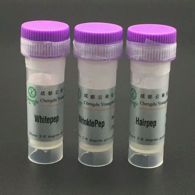 Factory Supply Peptide White powder Recombinant Streptavidin